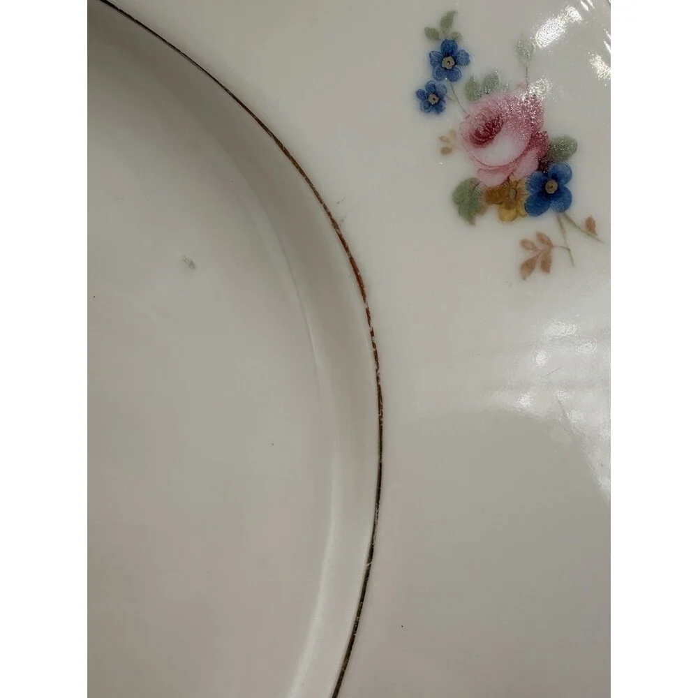 Vintage Czechoslovakia Floral Porcelain Serving Platter Gold Trim Oval 13” Roses